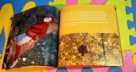 Harvest of light anglicka kniha - p,