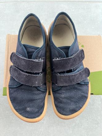 Froddo canvas, froddo,36