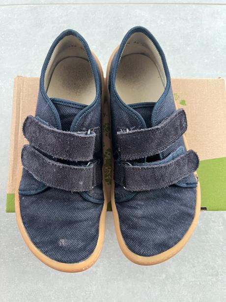 Froddo canvas, froddo,36