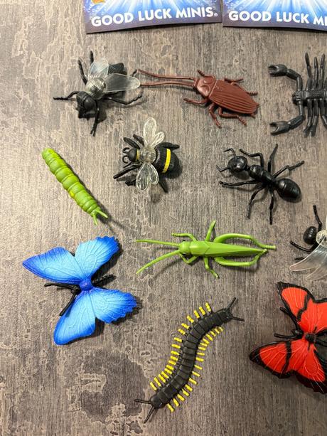 Safari ltd - sada postaviciek hmyz,