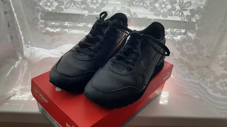 Botasky, puma,37