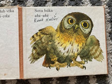 Medzi vtákmi leporelo (1987), 