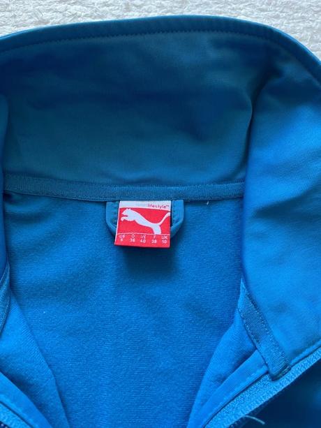 Puma suprava, puma,s