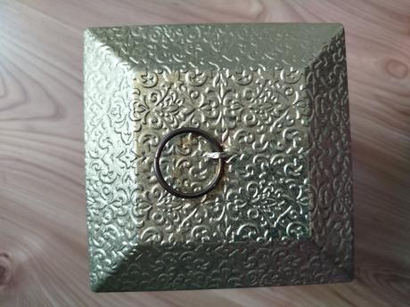 Plechovka domček zo susienok, 