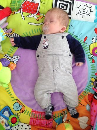 Komplet 50/56, lupilu,56