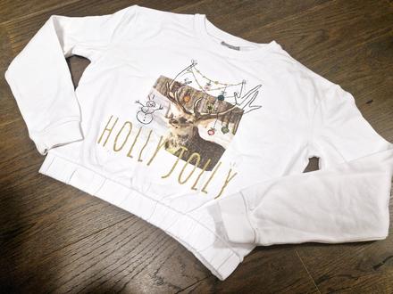 Nadherna vianocna mikinka destination do pasa, 158