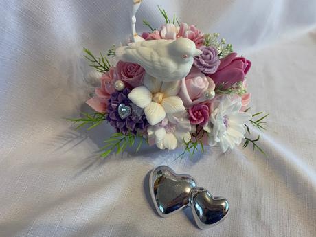 Mydlova kytica biemovna, 