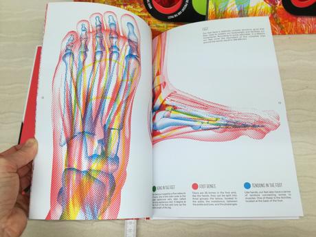 Lens book the human body nsp20,