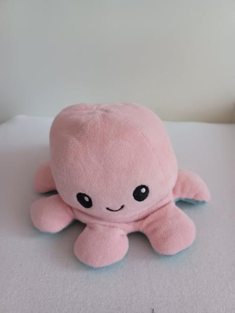 Obojstranná chobotnica,