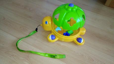 Korytnačka vkladačka, 