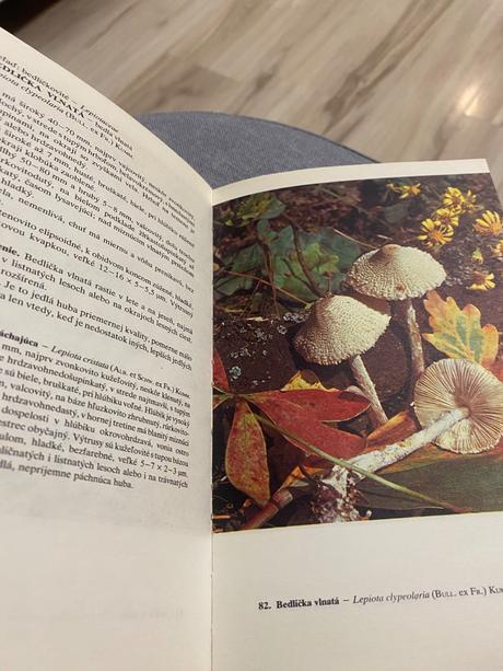 Huby lesov, polí a lúk aurel dermek atlas húb,