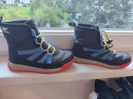 Snehulky sorel, sorel,33