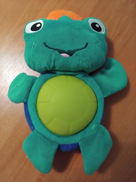 Korytnacka na kočik, 