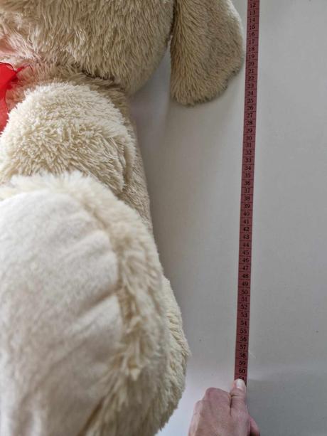 Veľký plyšový pes, 