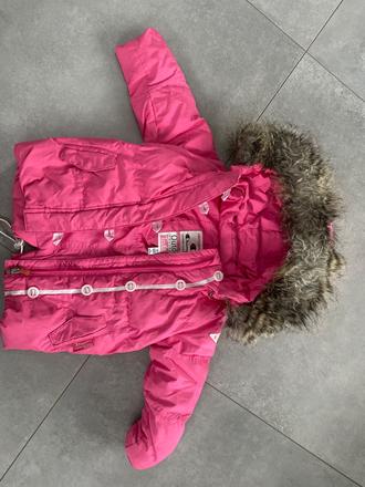 Bundička, champion,68