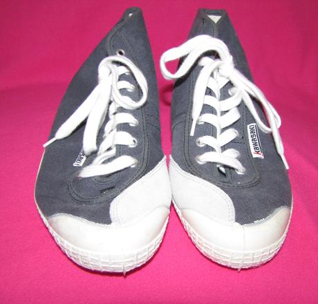 Plátenky kawasaki, 40