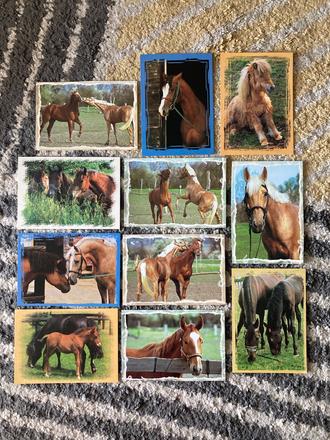 Pohľadnice koní nepopísané 11ks, 