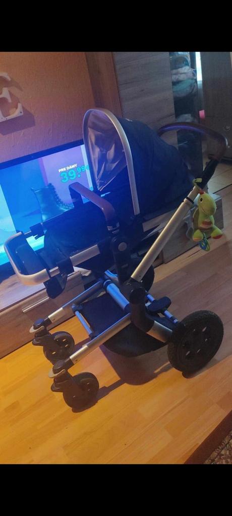 Kociar joolz, joolz,joolz day2