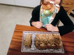 Bezgluténová zmes na mrkvový chlieb dmBio, 500 g