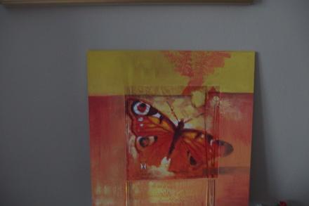 Motýl obraz, 