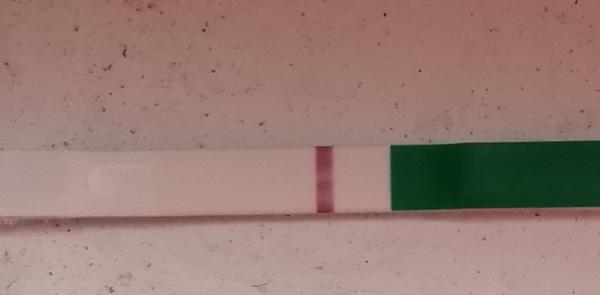 Vidíte niečo na teste?