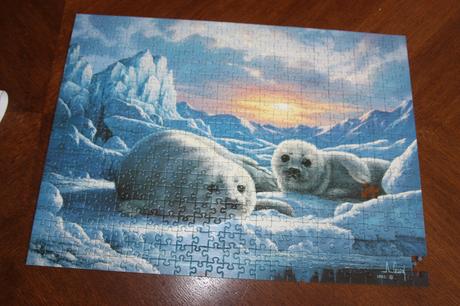 Rozne puzzle nekompletne, 