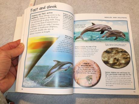 World of animals au22,