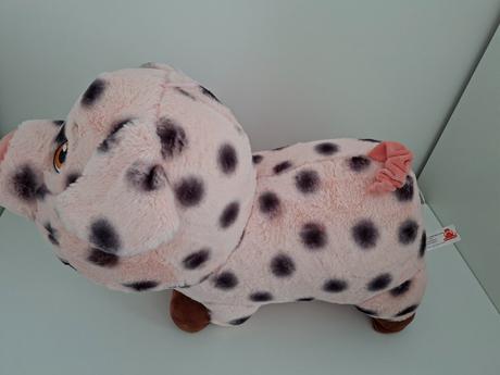 Prasa 60cm,