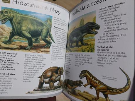 Knizka dinosaury,