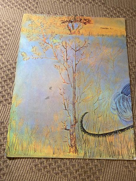 Ako žirafka tomi slávila piate narodeniny,