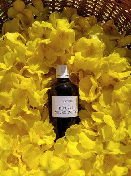 Divozel velkokvety - tinktura, 