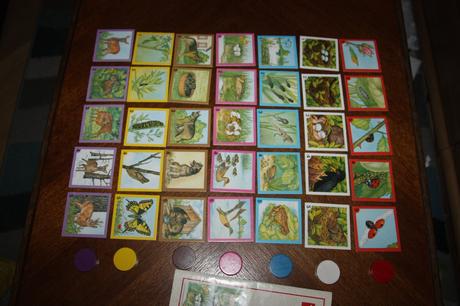 Hra wie die tiere grosswerden - od 5 rokov, 