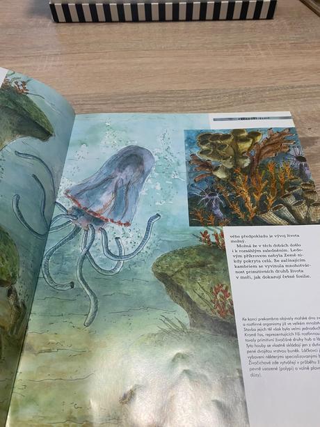 Vědomosti v kostce veľká kniha dinosauři,