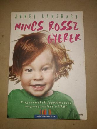 Janet lansbury -nincs rossz gyerek,