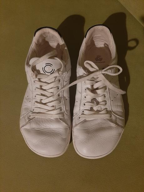 Groundies universe regular, 38