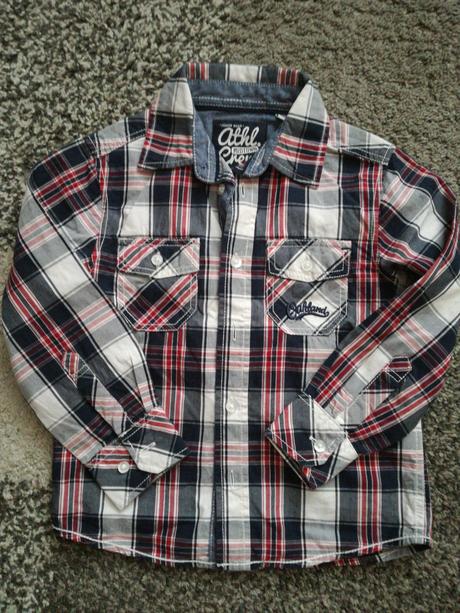 Kosielka, palomino,104