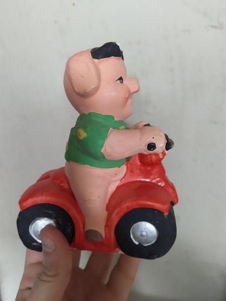 Prasiatko pokladnička, 