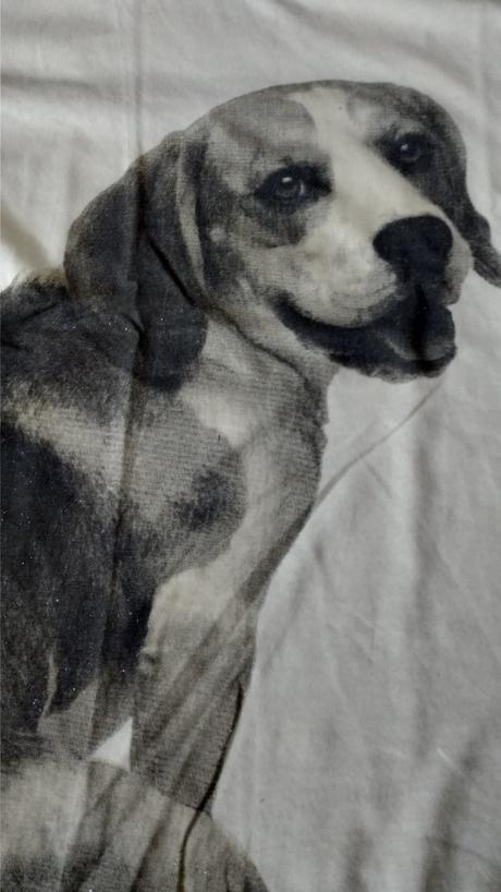 Tričko s psíkom, h&m,164