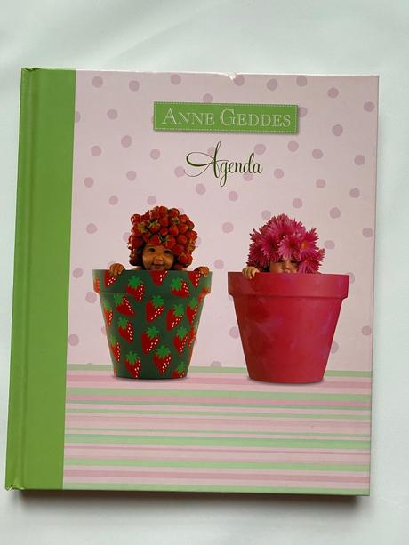 Encyklopédie, fotorámik, diár, plyšák, 