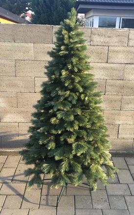 Vianočný stromček jedla kaukazská omrznutá, 