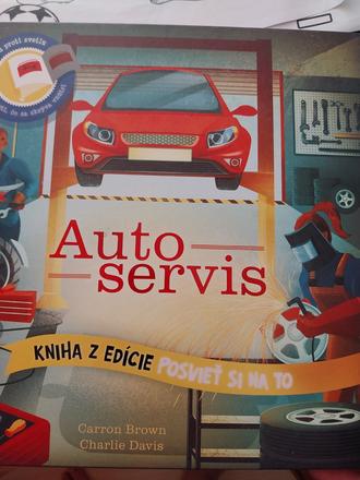 Aytoservis,