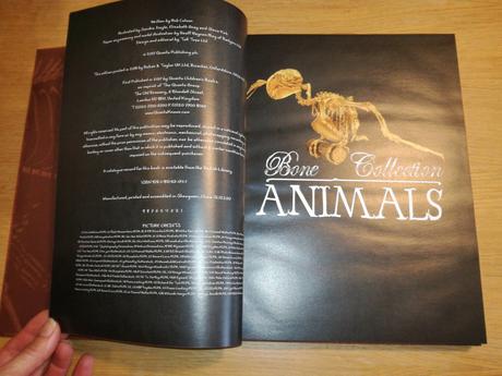 Bone collection - animals,