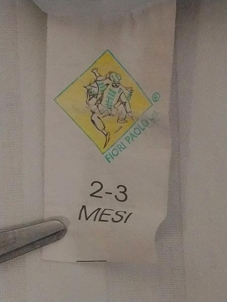 Kostým zamatový panda, fiori paolo, 2-3r, 92-98 cm, 