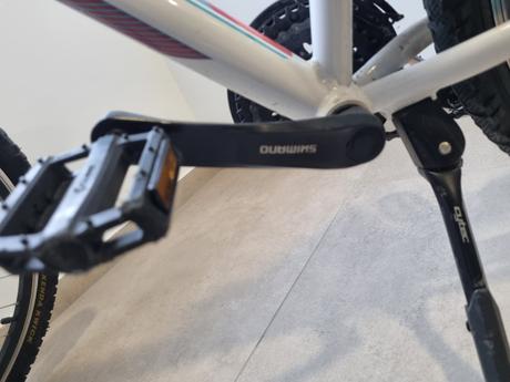 Dievčenský bicykel, 26