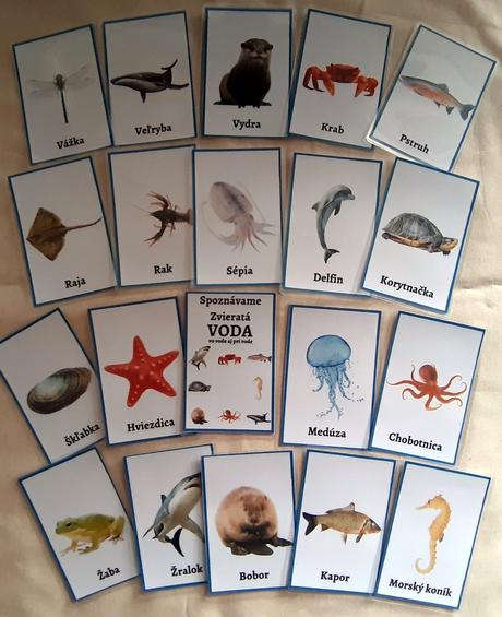 Kartičky zo série spoznávame,