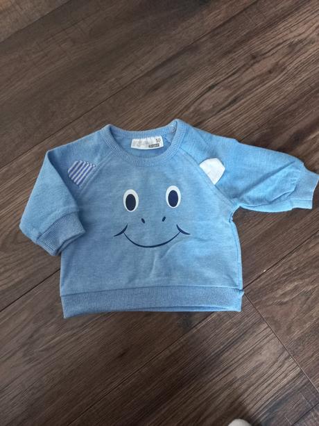 Dino mikina, ergee,50