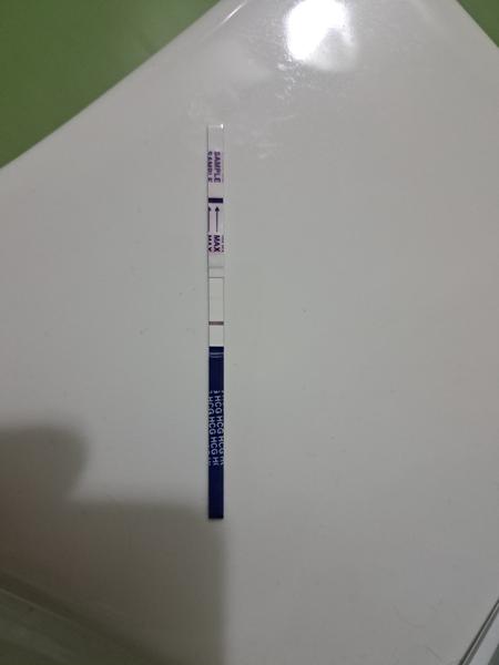 Prvá skúsenosť s tehotenským testom: Môže čiarka zodpovedať stavu?