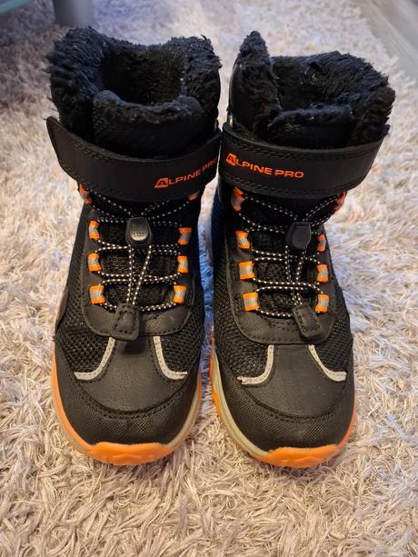 Loap snehule, loap,33