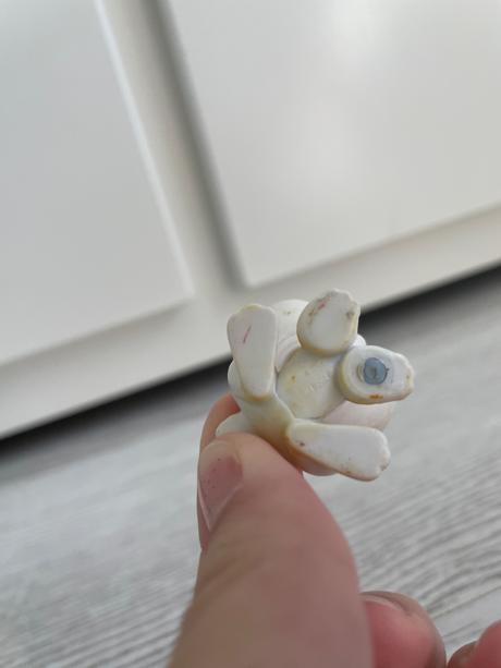 Lps zajkovia s ušami hore,