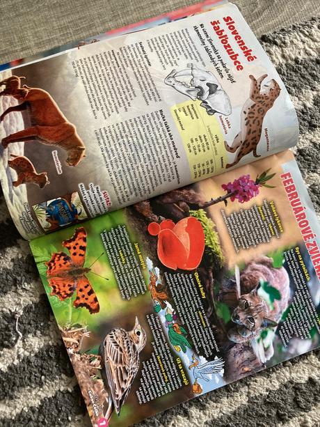 Časopis fifík 5ks plus maľovanka z fifíka 2025/26, 